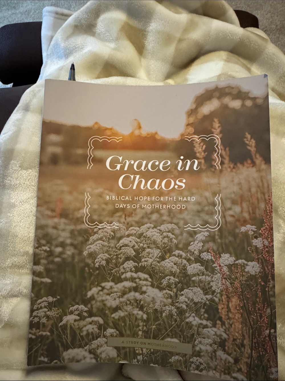 Grace in Chaos- Daily Grace Co